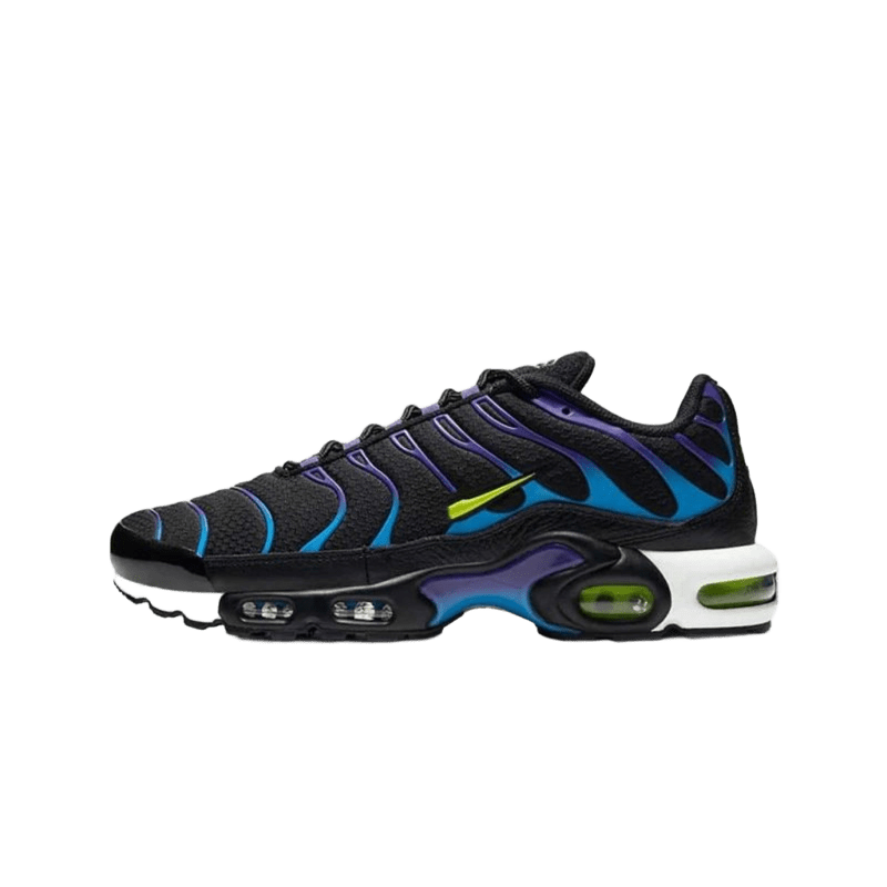 Nike Air Max Plus TN - Black Blue Purple 90s Shoes