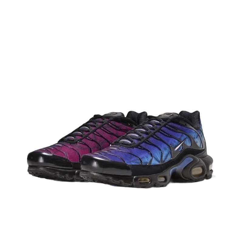 Nike Air Max Plus TN Purple Blue Gradient 90s Retro Shoes