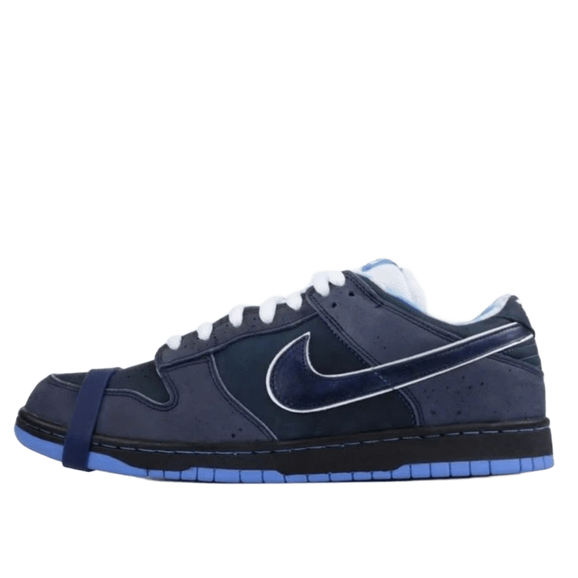 Nike Swoosh Deep Blue Leather Skate Shoes, Unisex