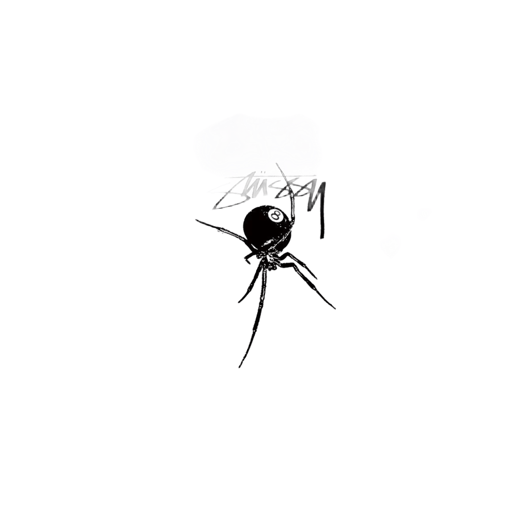 Stussy White Cotton Tee: 90s Unisex Streetwear with Logo Print